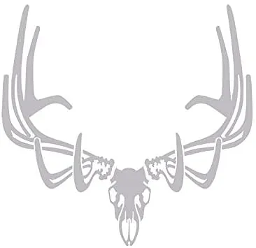 elk skull - image 1