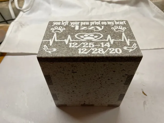 izzy urn - image 1