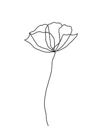 Intro to Easel- Mirror - image 1