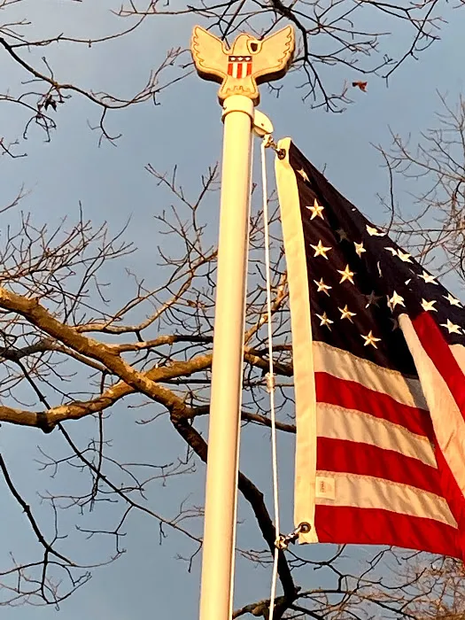 Eagle Flagpole Finial - image 2
