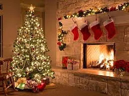 Merry Christmas - Erin