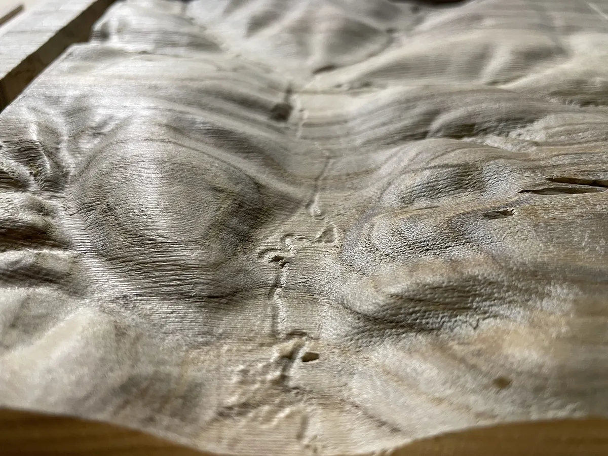 Topographic Surface and Carving with Easel — Final Thoughts (image 4)