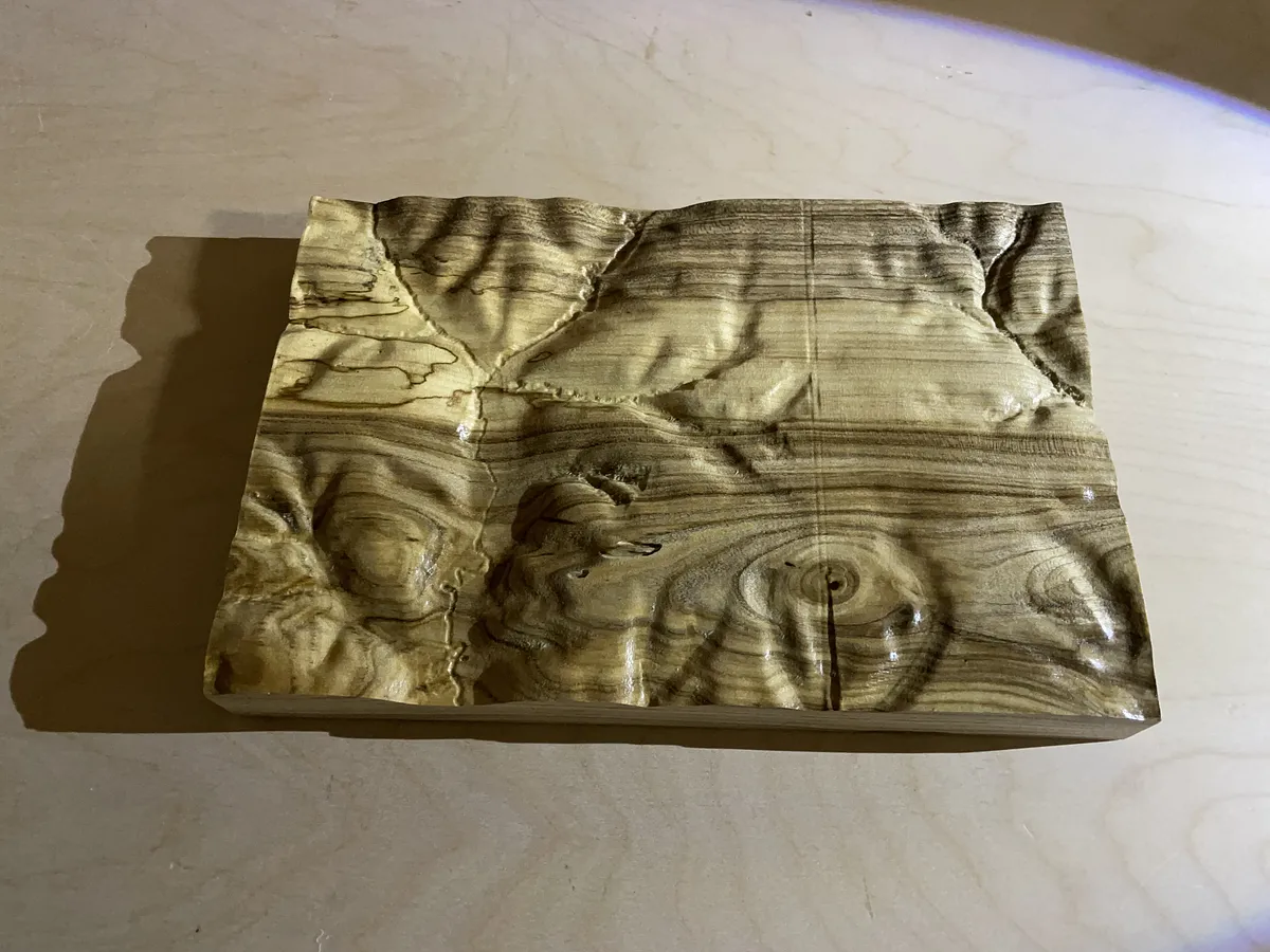Topographic Surface and Carving with Easel — Final Thoughts (image 5)