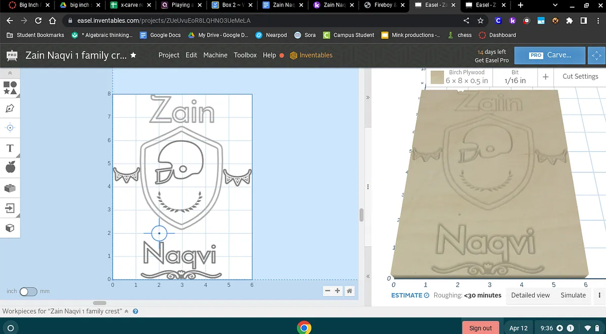Zain Naqvi 1 family crest - image 1