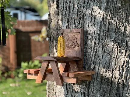squirrel feeder 