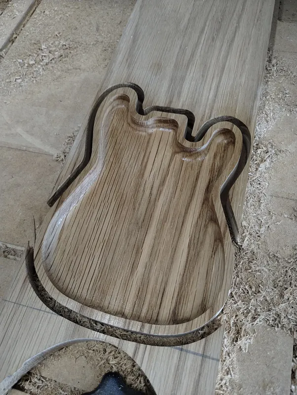 Stratocaster Guitar Pick Tray - image 3