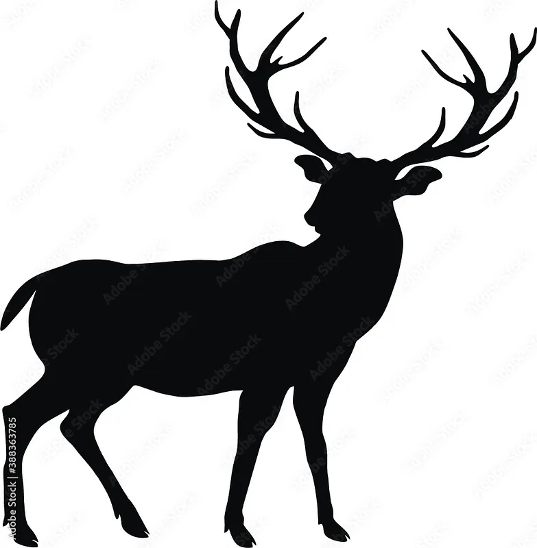BASIC DEER PRACTICE - image 1