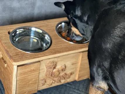 Dog Feeder