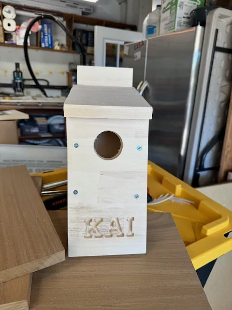 Basic Birdhouse with name - image 1