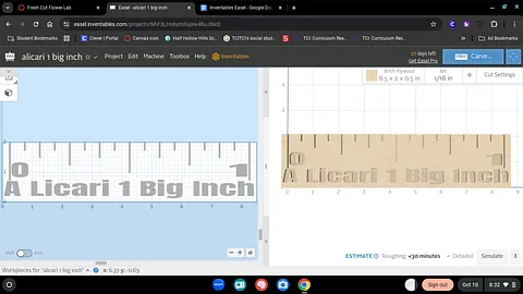 alicari 1 big inch