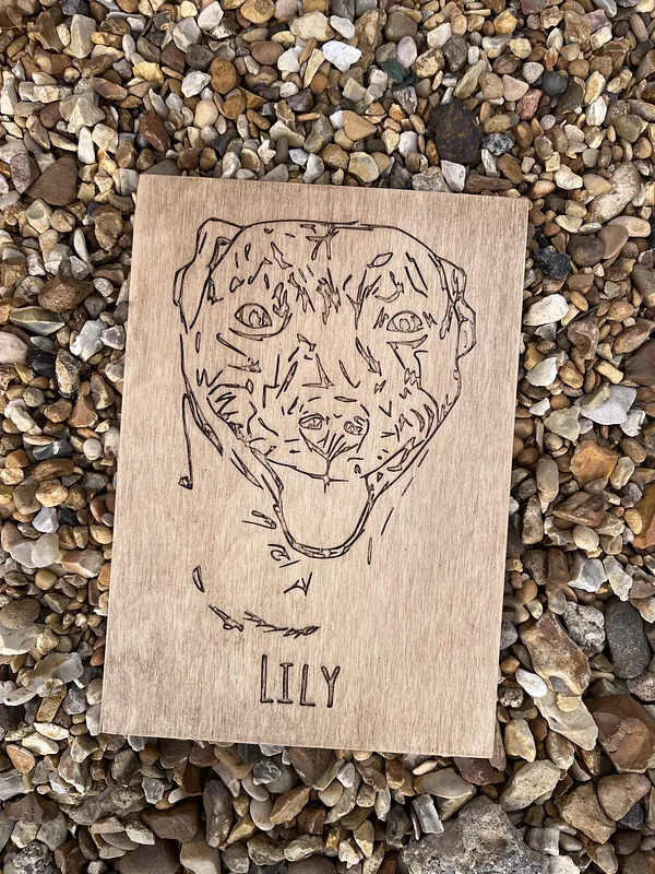 Image trace engravings - image 4