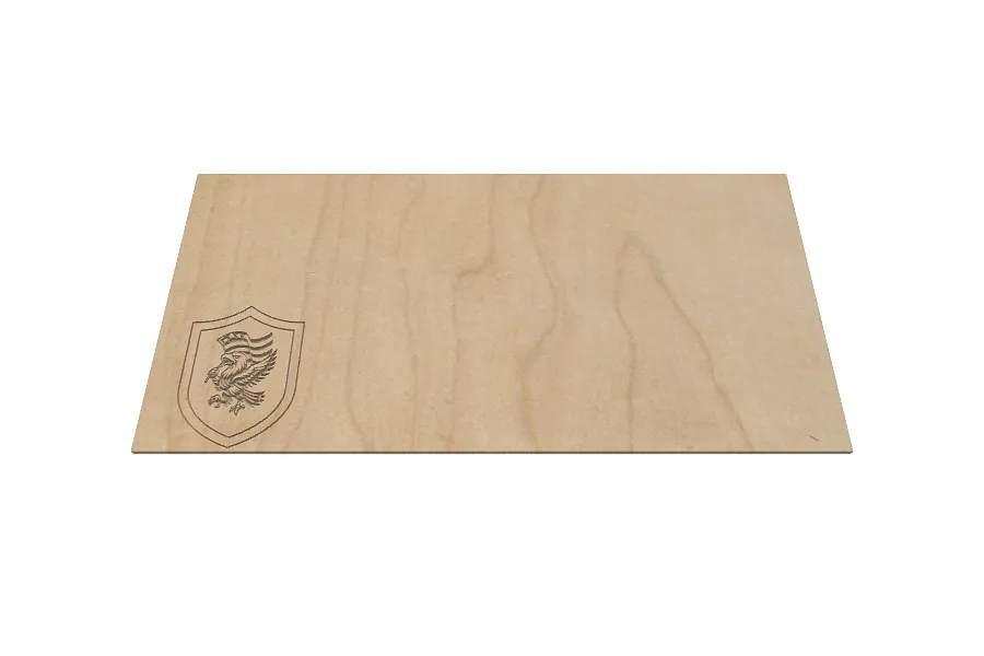 Eagle Flag Shield - image 1