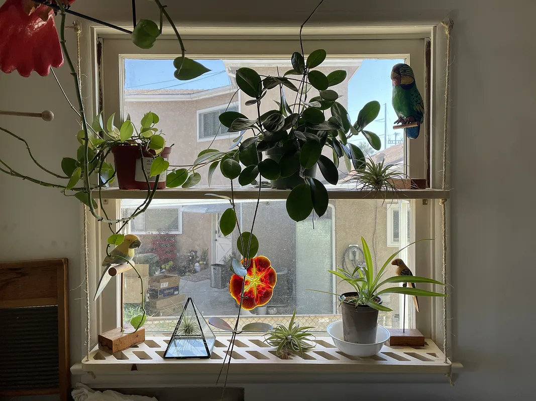 Window Greenhouse Shelf - image 1