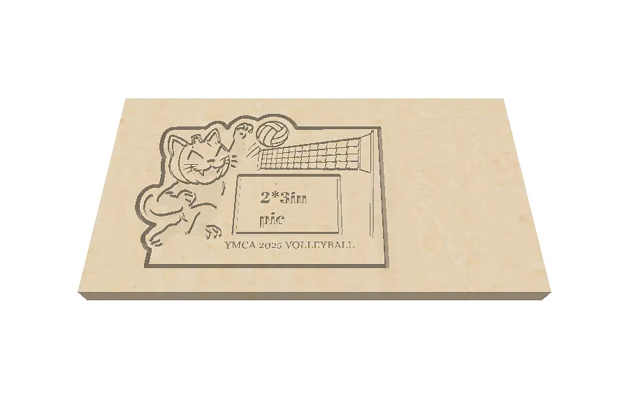 volleyball award plaque - image 1