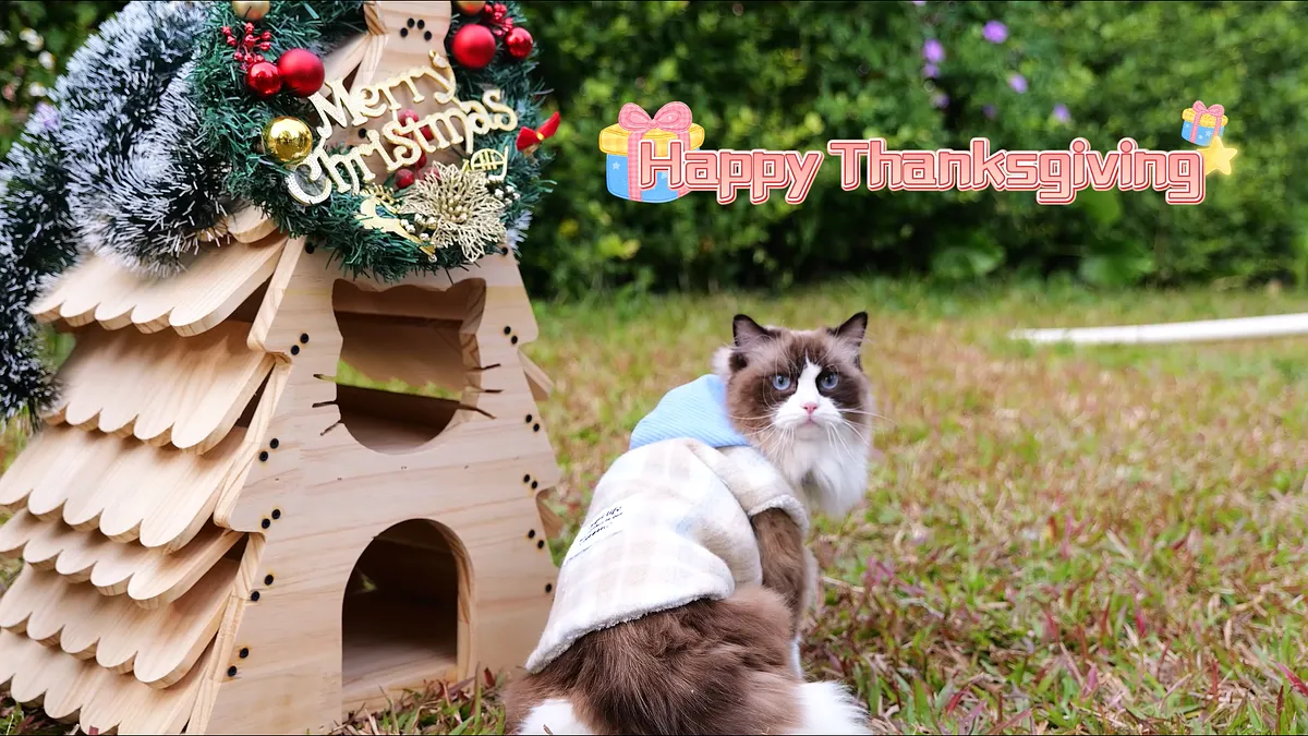 Christmas Cat House - image 2