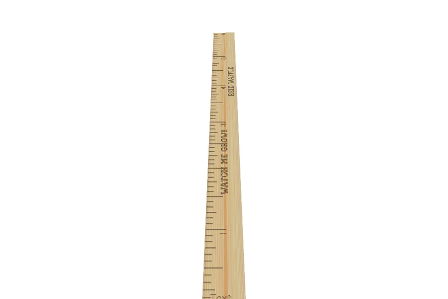 Copy of Copy of Copy of Copy of Growth Chart Copy - image 1