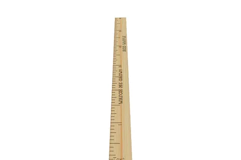 Copy of Copy of Copy of Copy of Growth Chart Copy
