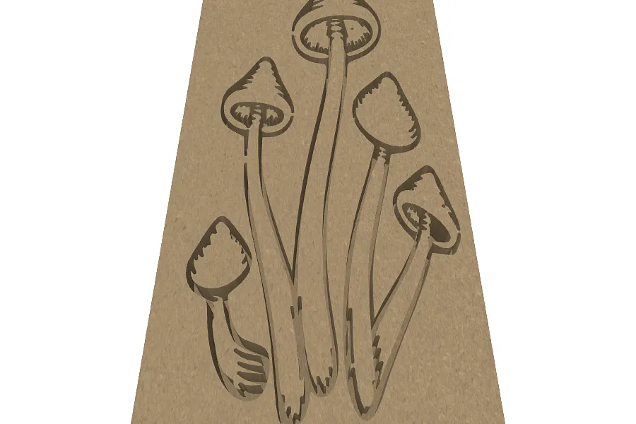 shrooms 1 - image 1