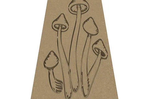 shrooms 1