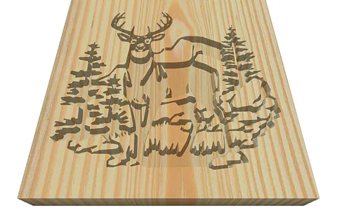 Deer