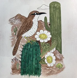 Cactus Wren In Desert