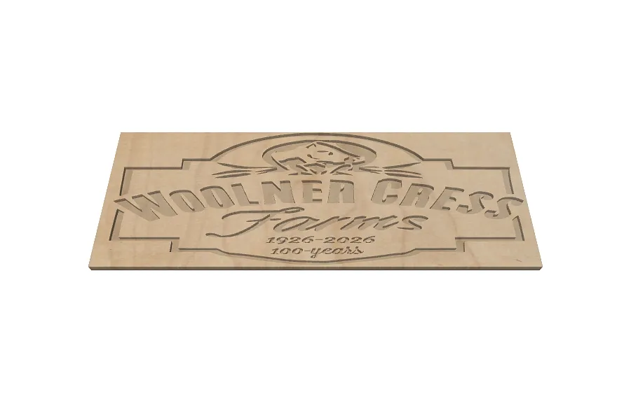 Copy of bench back - image 1