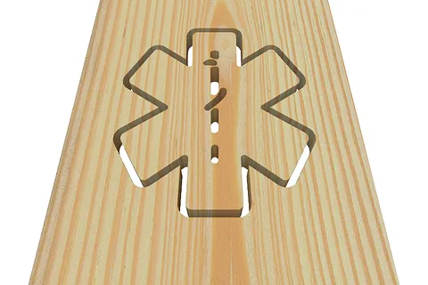 EMS