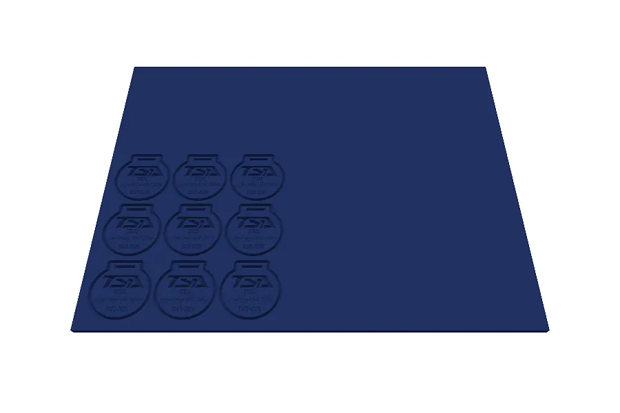 Medallas tsa club iniciación - image 1