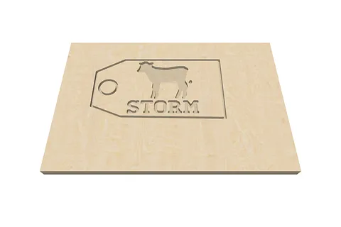 Name Tag - Stormy