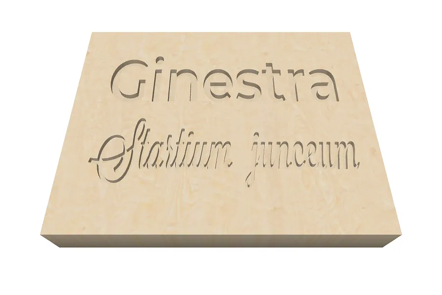 Ginestra - image 1
