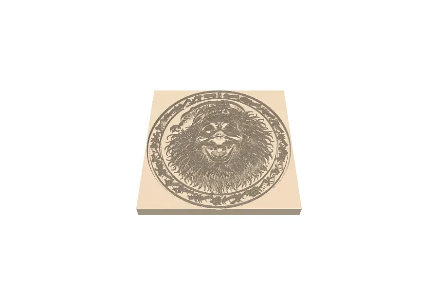 Idiot Coin - image 1