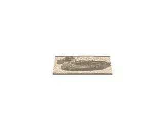 Copy of Duck Decoy Plaque - image 1