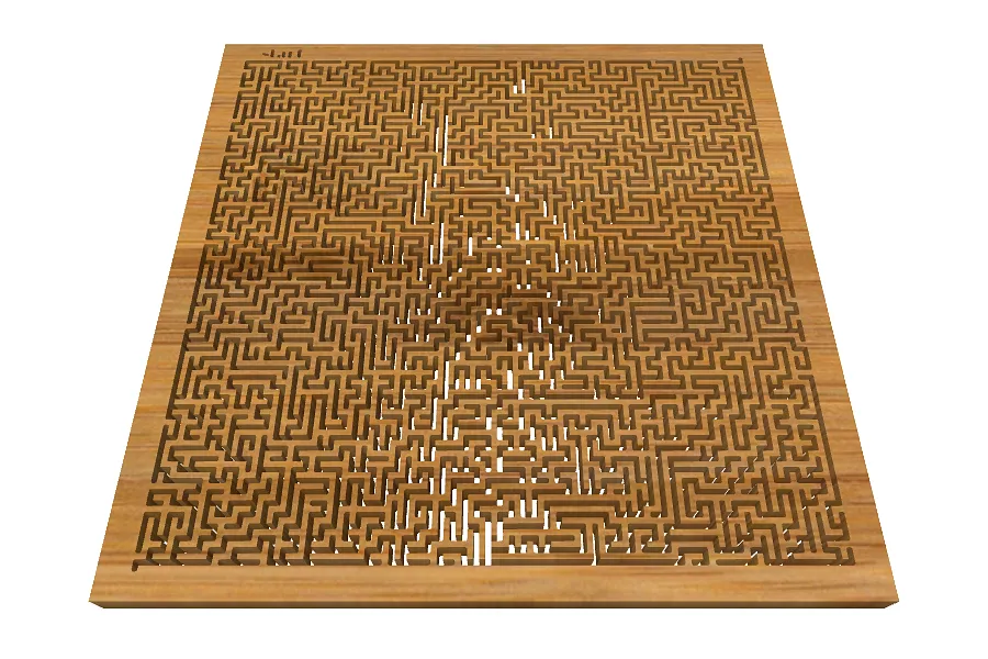 hard maze - image 1