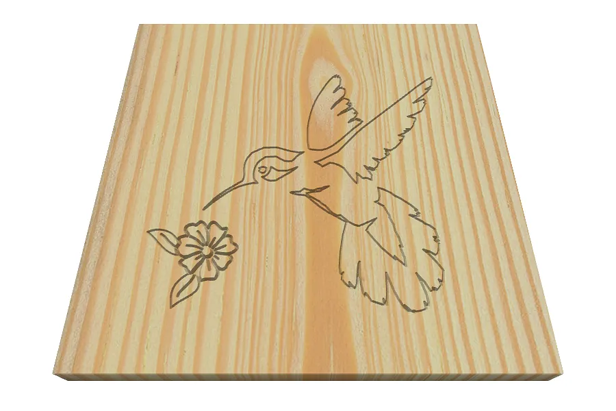 Coaster Hummingbird - image 1