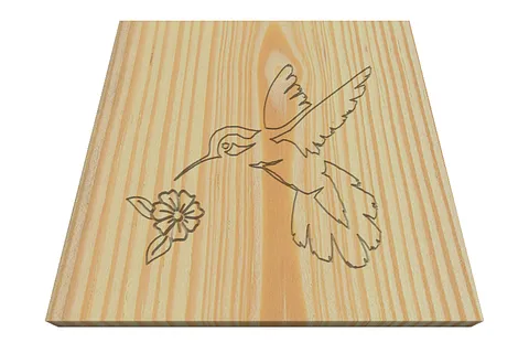 Coaster Hummingbird