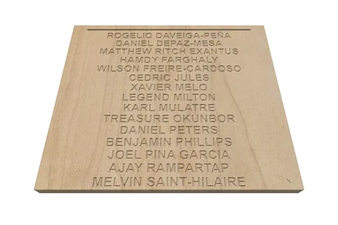 Plaque