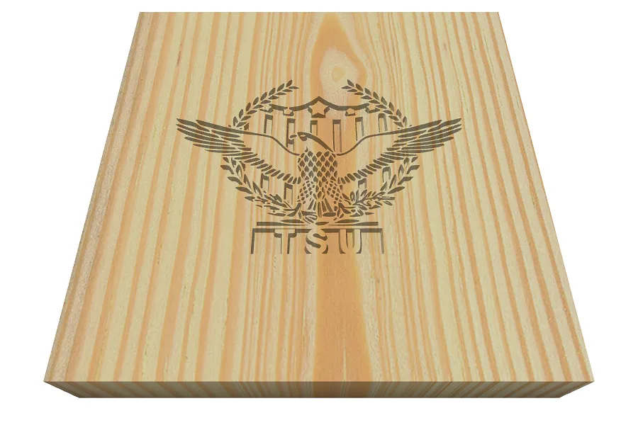 Engraved TSU Logo - image 1