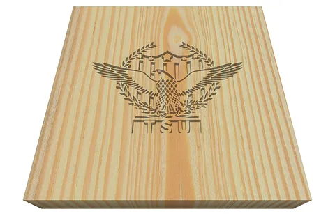 Engraved TSU Logo