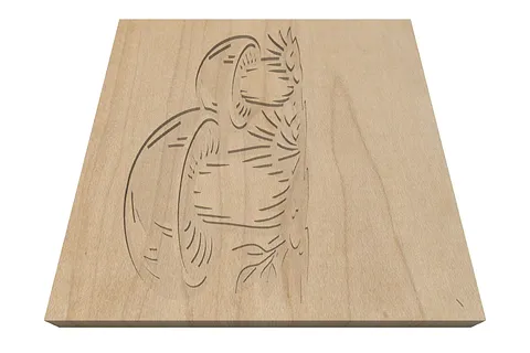 PIANTE/FIORI