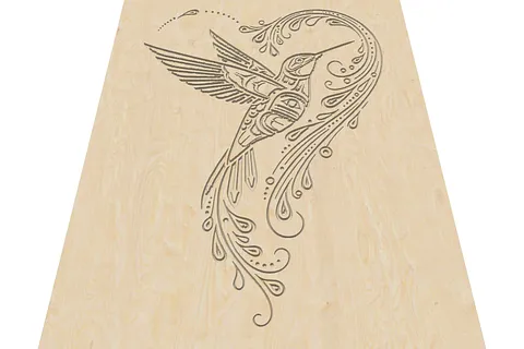Haida Hummingbird