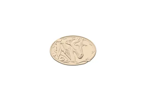 cheval rond
