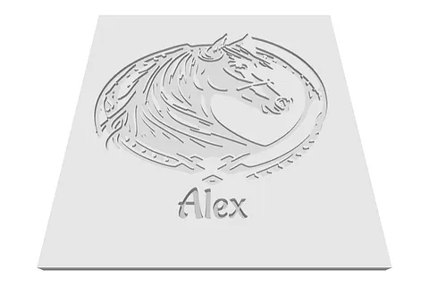 Alex Horse Ridding