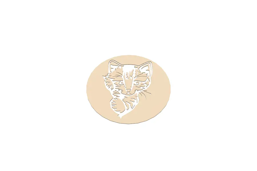 Cat Display - image 1