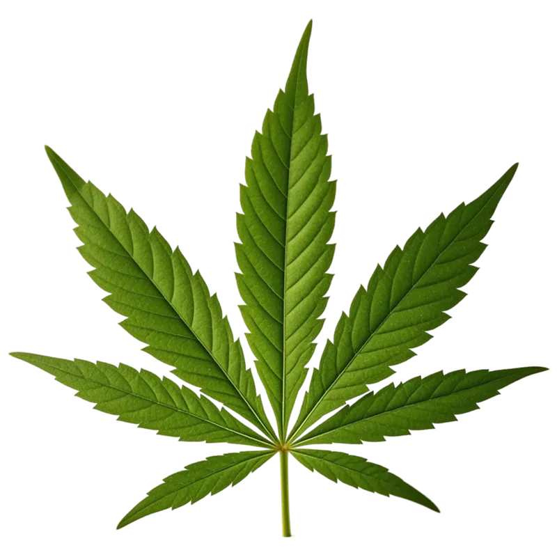 weedleaf - image 1