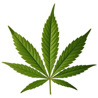 weedleaf
