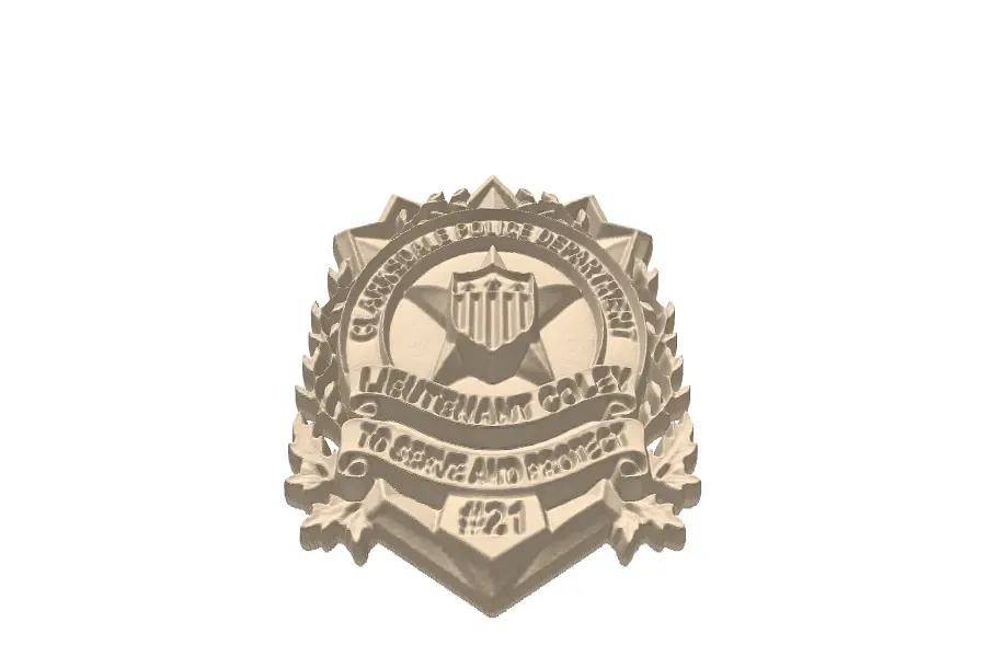 POLICE BADGE - image 1