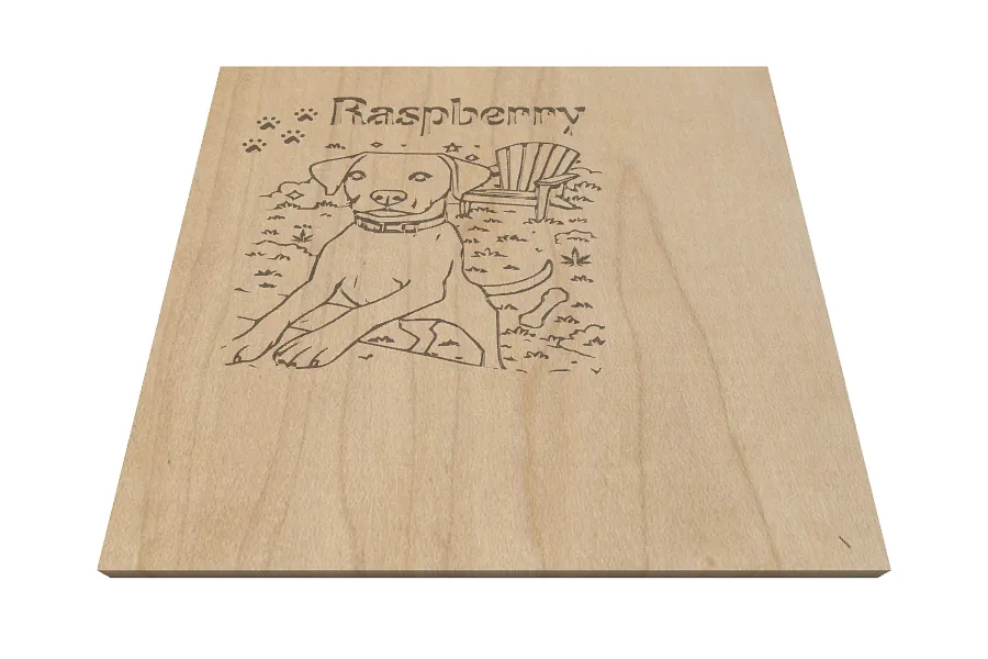 raspberry - image 1