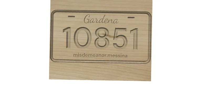 license plate - image 5