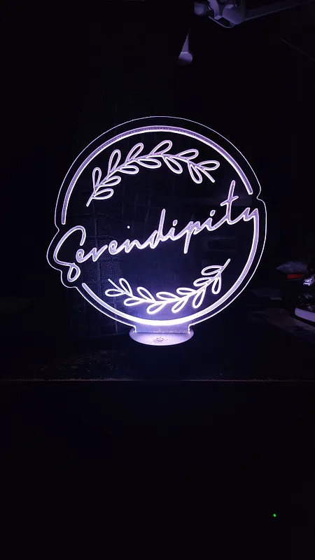 Serendipity LED Light Sign - image 1