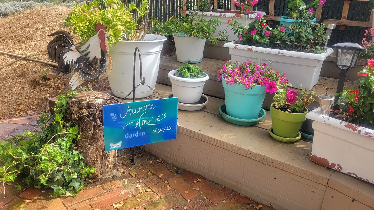 AuntieWinkiesGarden - image 2